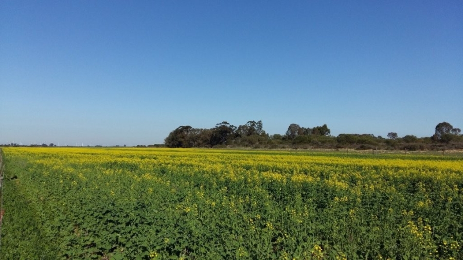 3 Bedroom Property for Sale in Hopefield Rural Western Cape